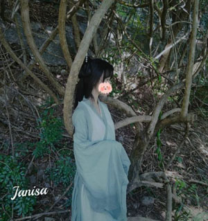 藏海花全集免费观看_BD韩语日本电影免费